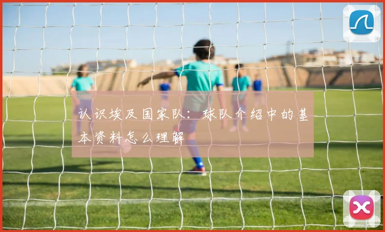 认识埃及国家队：球队介绍中的基本资料怎么理解