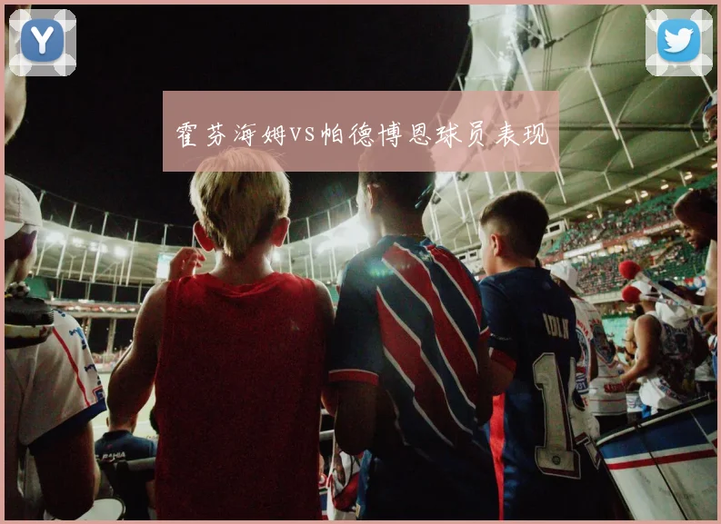 霍芬海姆vs帕德博恩球员表现