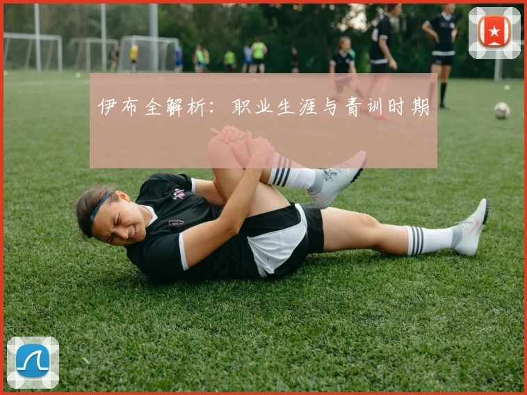 伊布全解析：职业生涯与青训时期